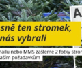 StromkyOnline.cz