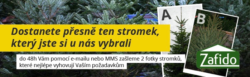 StromkyOnline.cz